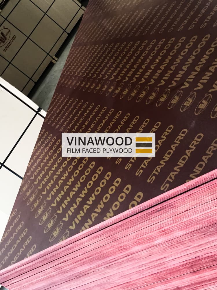 Poplar Plywood Vietnam Plywood Film Faced Waterproof Plywood